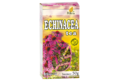 C-echinacea-tea-99019.png