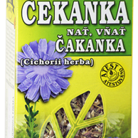 Čekanka obecná nať 50g Cichorium intybus herba cons.