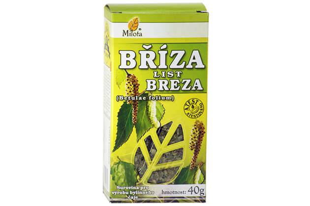 B-briza-list-96021.png