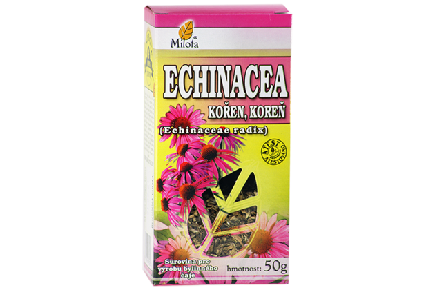 B-echinacea-koren-96040.png