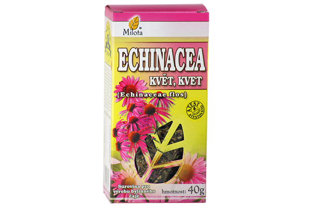 B-echinacea-kvet-96041.png