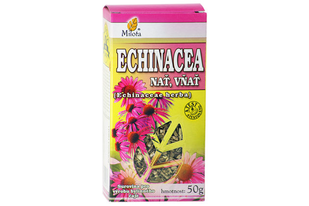 B-echinacea-nat-96042.png