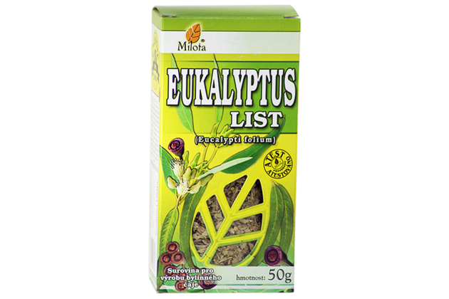 B-eukalyptus-list-96044.png