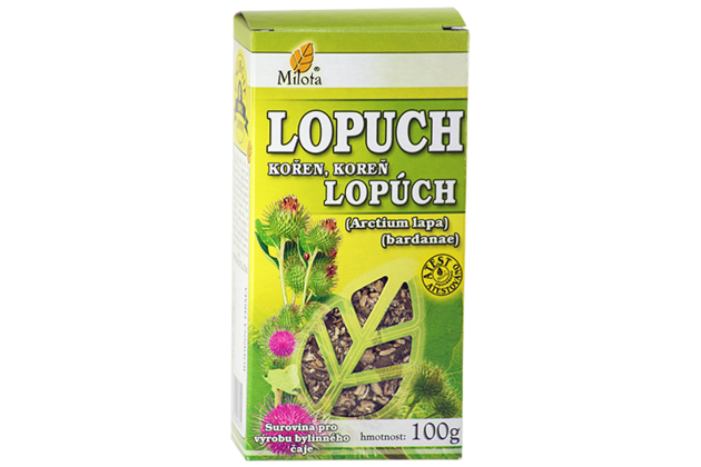 B-lopuch-koren-96120.png