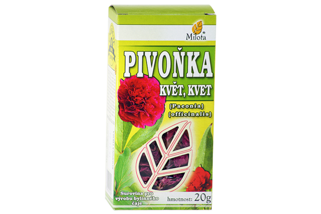 B-pivonka-kvet-96151