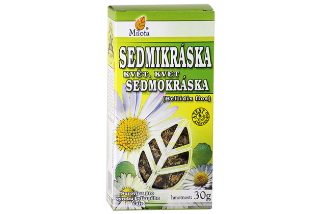 B-sedmikraska-kvet-96186.png