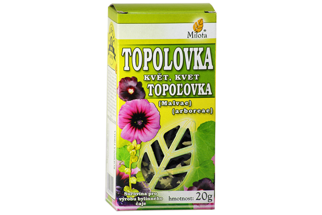 B-topolovka-kvet-96207