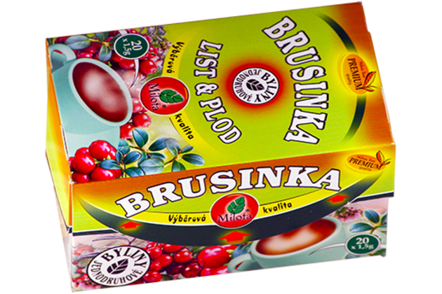 JB-Brusinka-list-s-plodem-99285
